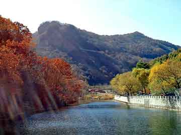 管家婆黑白马报图库，流氓邪医